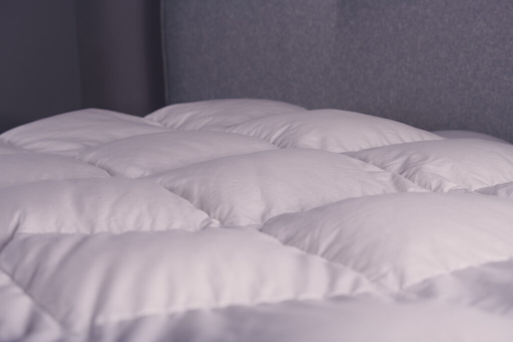 Allura goose down comforter