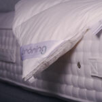 Allura goose down comforter